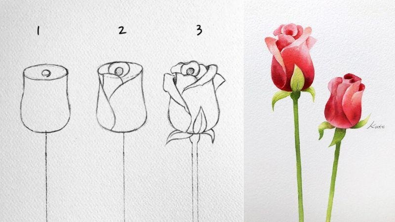 Lưu ý khi vẽ hoa hồng