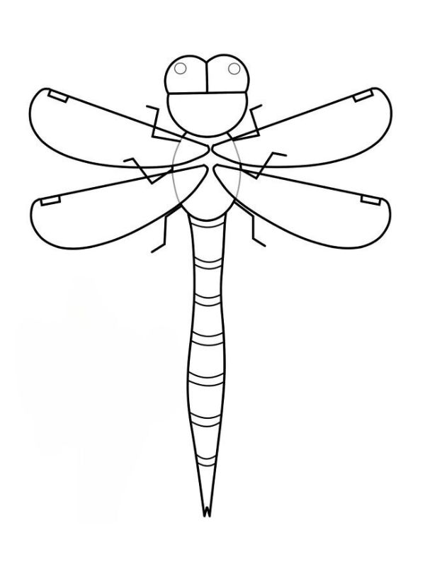 tranh vẽ chuồn chuồn đen trắng để tô màu