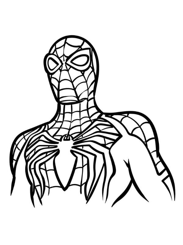 hình ảnh spider man chưa tô màu