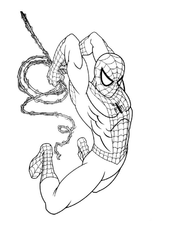 hình spider man tô màu sinh động