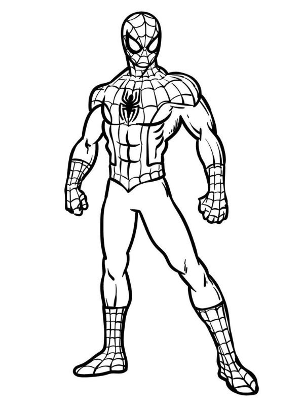 trang tô màu spider man đơn giản dễ tô