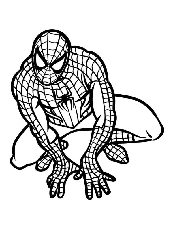 tranh spider man đẹp cho bé tập tô